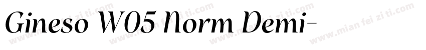 Gineso W05 Norm Demi字体转换